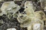 Green Fluorite and Yellow Calcite on Quartz - Fluorescent! #112421-2